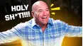 GREATEST KNOCKOUTS from Dana White's Contender Series