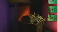 Haunted Discoveries: Family Spirits