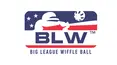 Big League Wiffle Ball