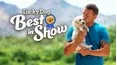 Lucky Dog: Best in Show