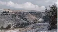 Wingshooting USA