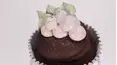 Cupcake Wars
