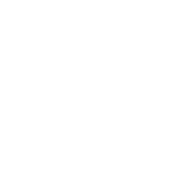 channel 12 news new york live
