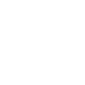 Universal Action