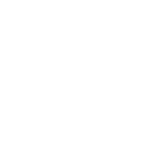 World's Wildest Police Videos