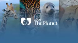 Love The Planet