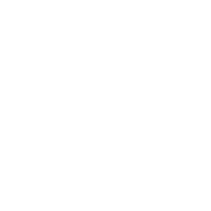 Designated Survivor