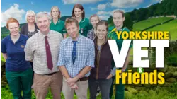 The Yorkshire Vet & Friends