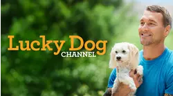 The Lucky Dog Channel