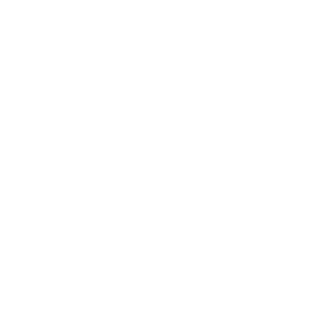 The Lucky Dog Channel
