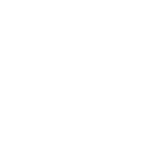 Vice Entertainment