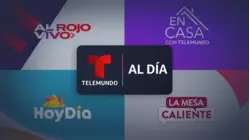 zzz - Telemundo Al Día TEST HAL
