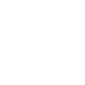 World's Wildest Police Videos
