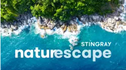 Stingray Naturescape