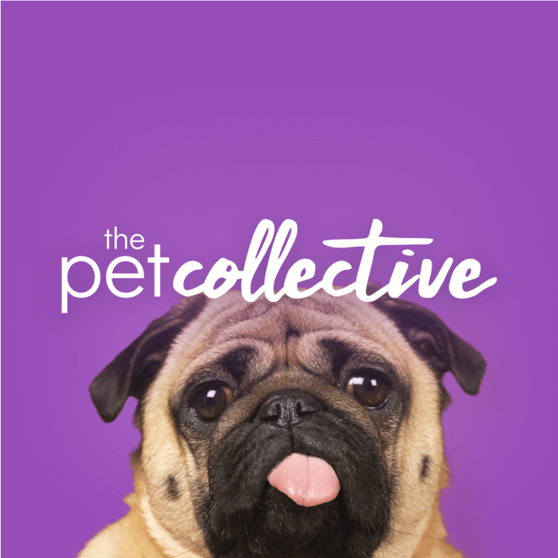 On Now The Pet Collective Xumo