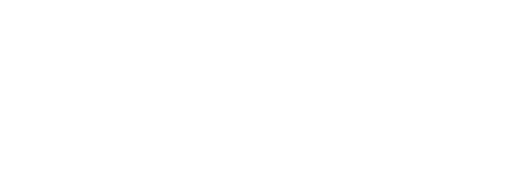 310 FilmRise Serien