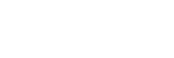 960 Stingray Hip Hop