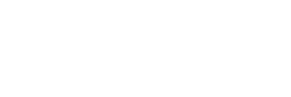 593 Sonic The Hedgehog