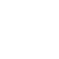 ION Plus